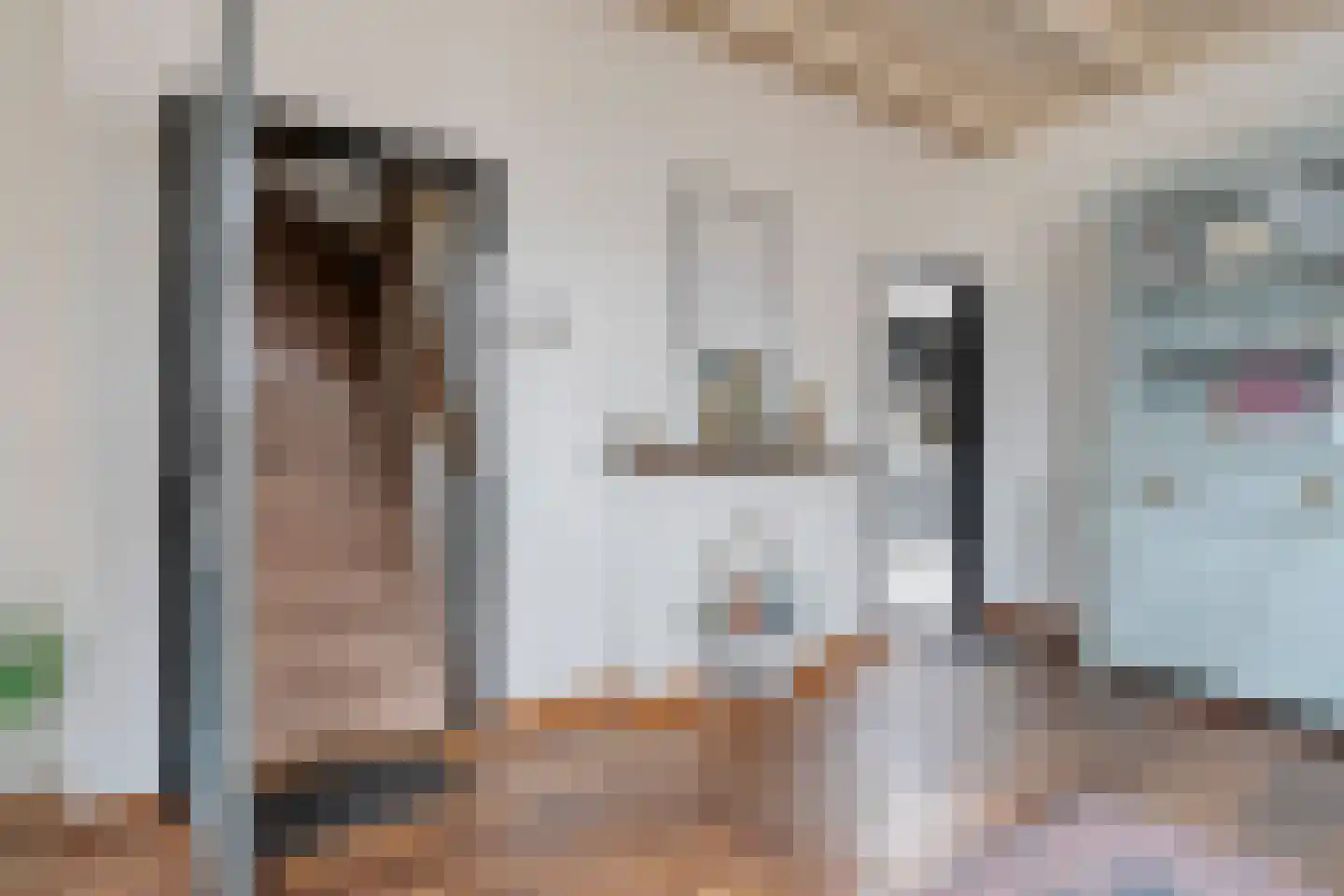 Elsenerstraat 56 Rijssen thumbnail 14