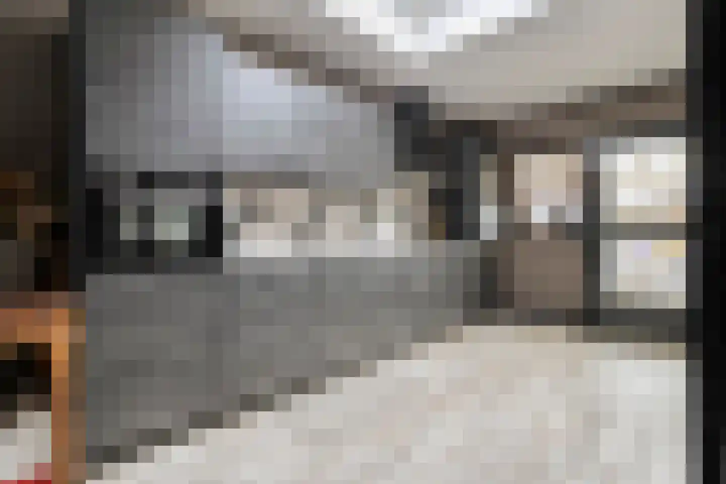 Elsenerstraat 56 Rijssen thumbnail 16