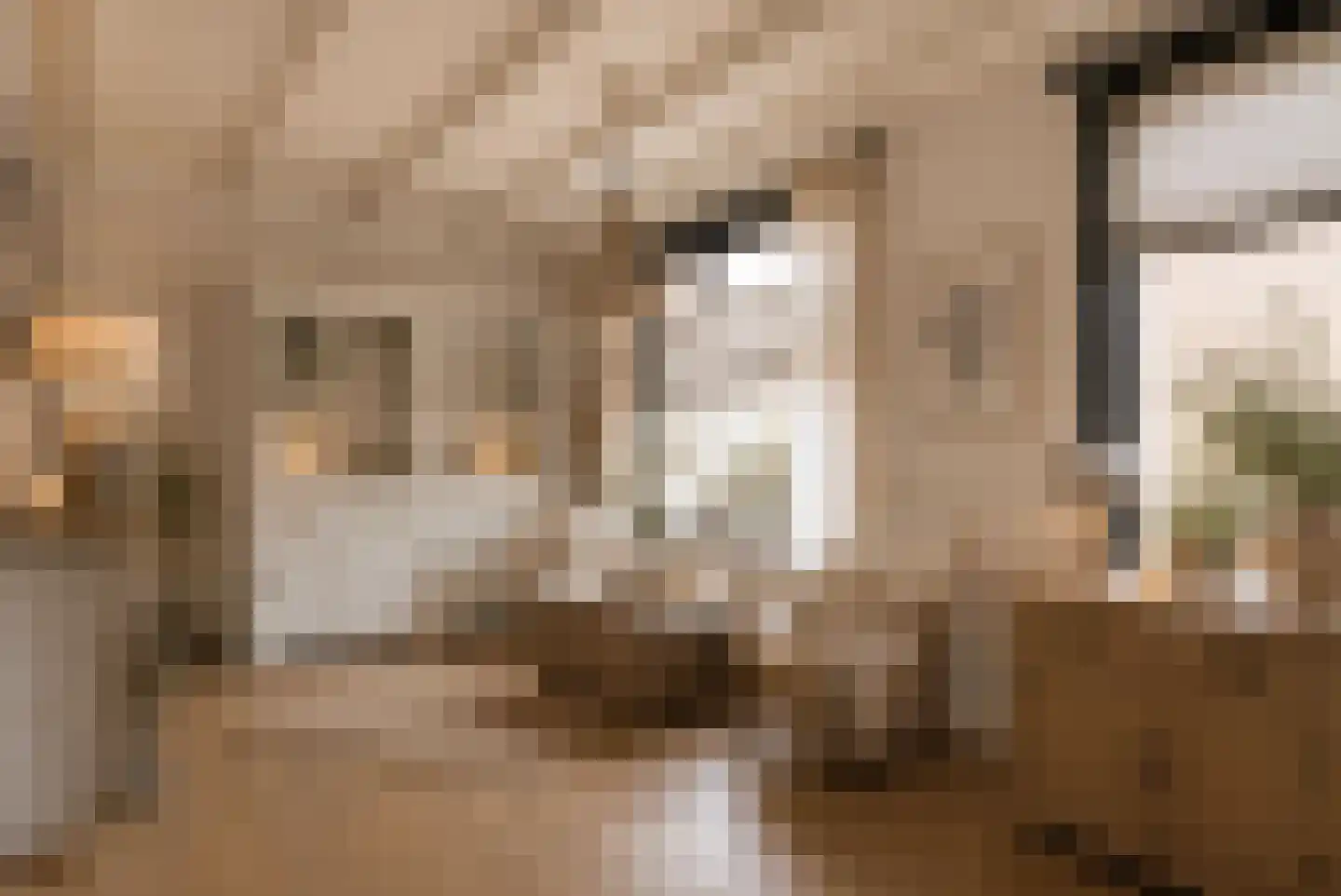 Elsenerstraat 56 Rijssen thumbnail 17