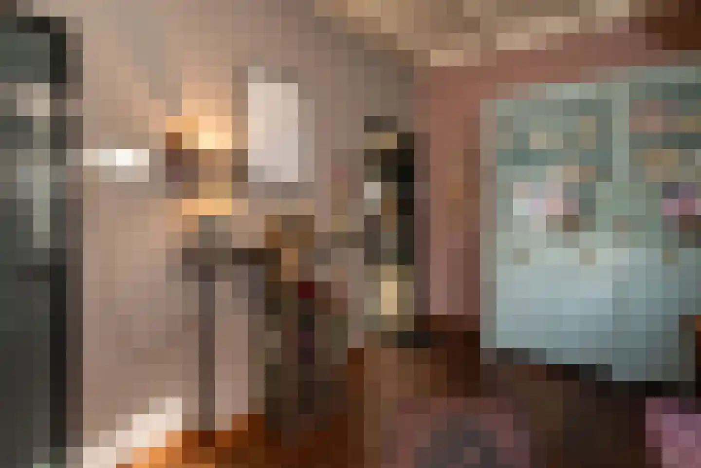 Elsenerstraat 56 Rijssen thumbnail 17