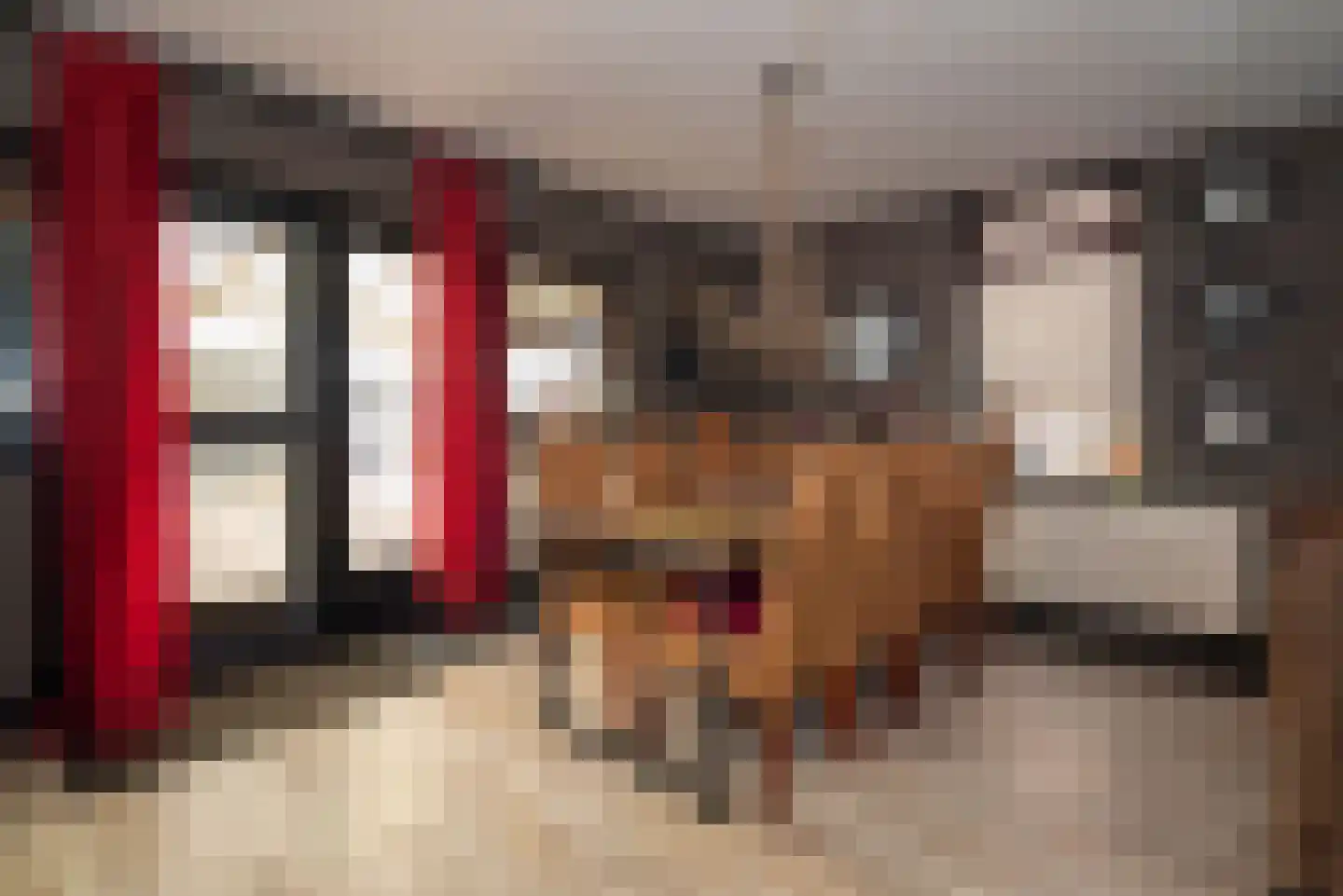 Elsenerstraat 56 Rijssen thumbnail 20