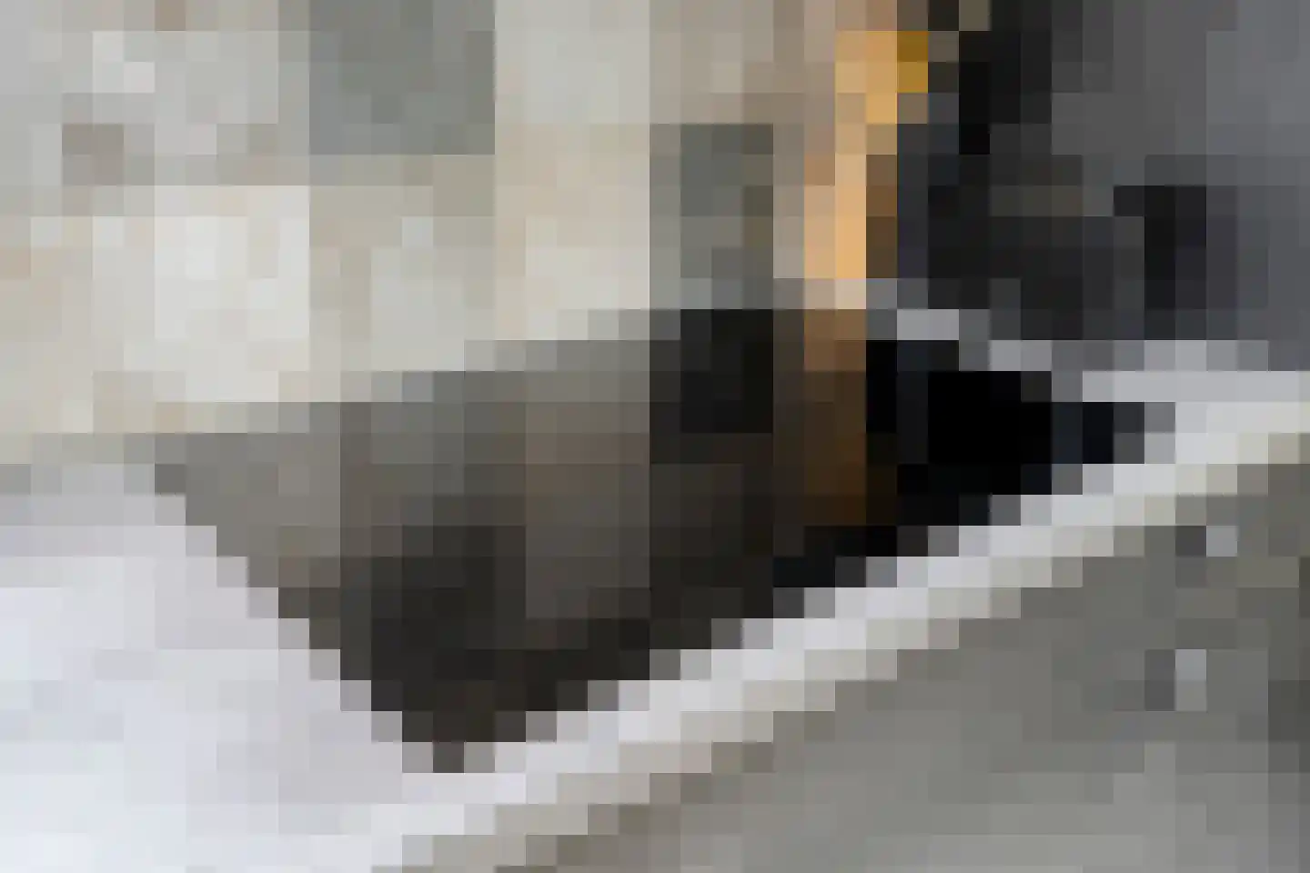 Elsenerstraat 56 Rijssen thumbnail 21
