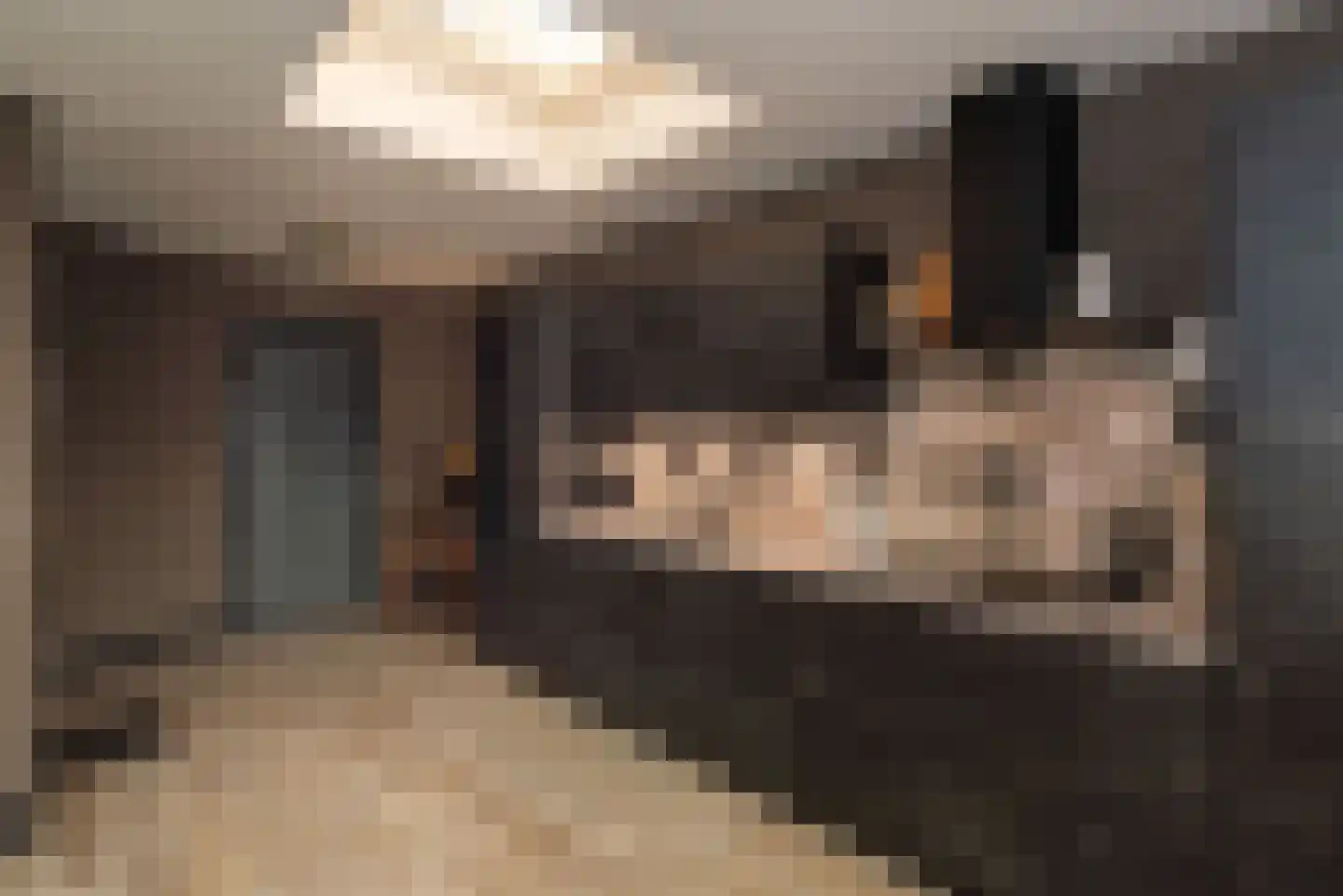 Elsenerstraat 56 Rijssen thumbnail 24