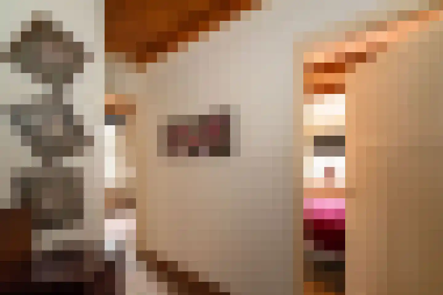 Elsenerstraat 56 Rijssen thumbnail 33