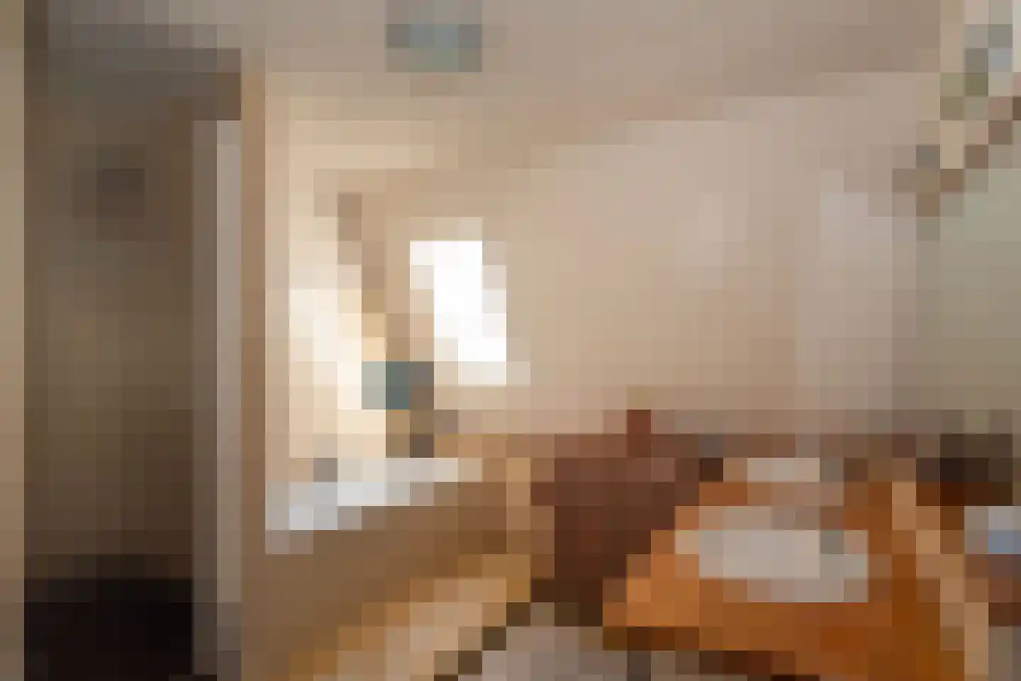 Elsenerstraat 56 Rijssen thumbnail 34