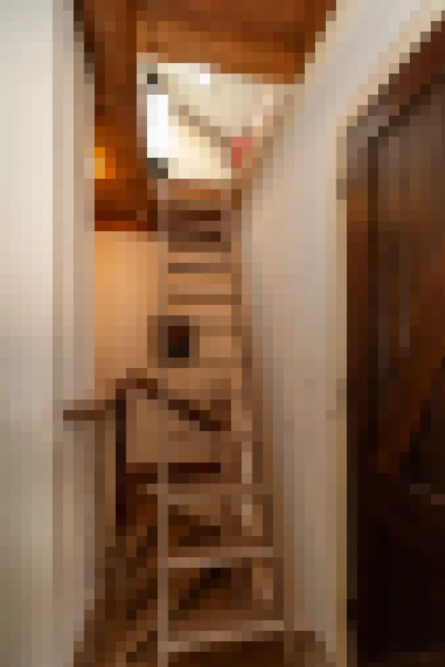 Elsenerstraat 56 Rijssen thumbnail 39