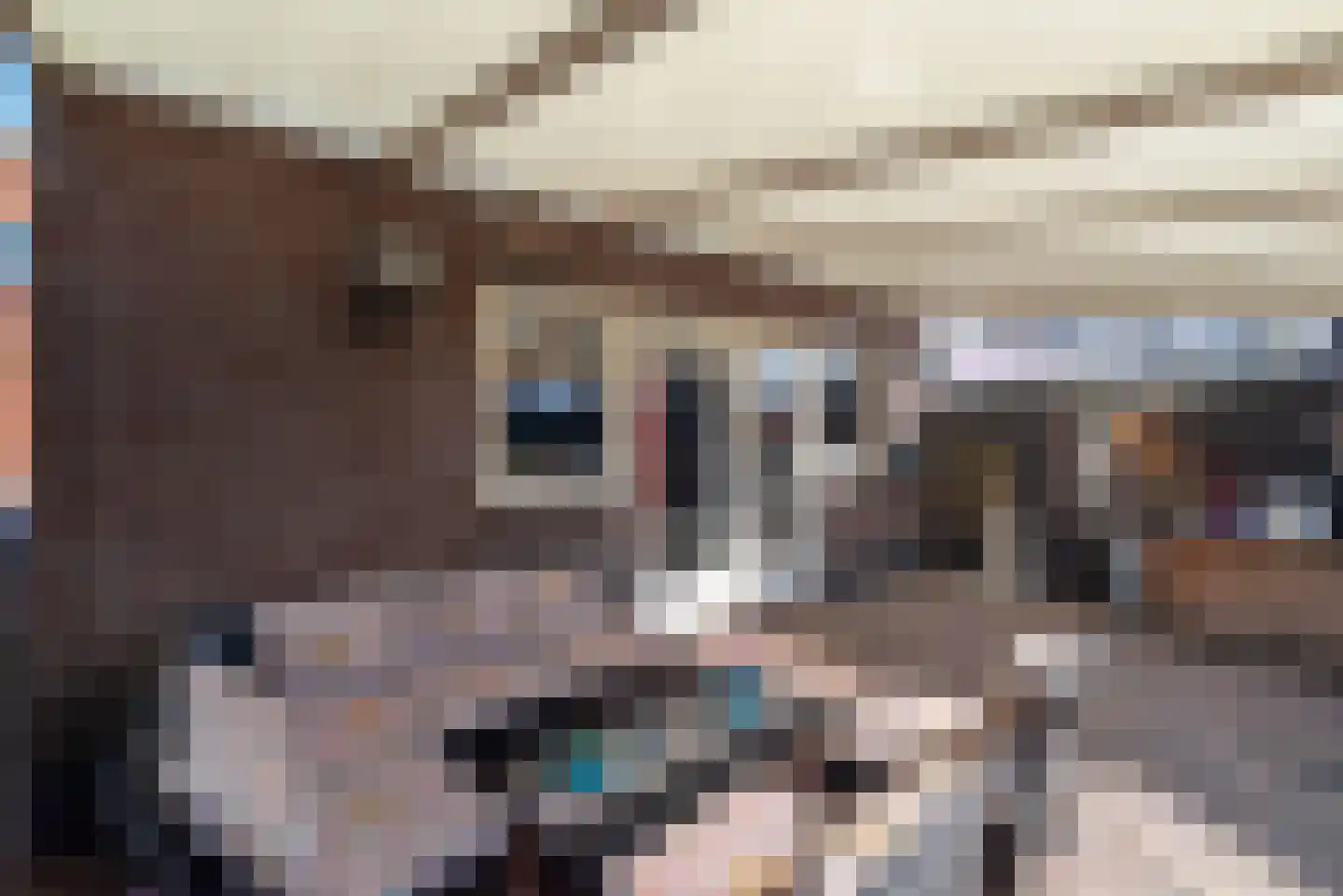 Elsenerstraat 56 Rijssen thumbnail 41
