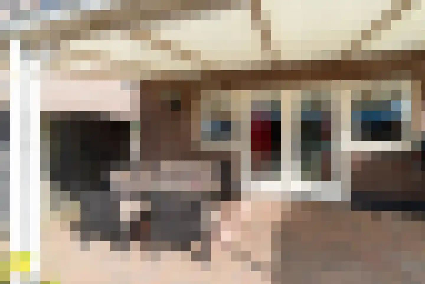 Elsenerstraat 56 Rijssen thumbnail 47