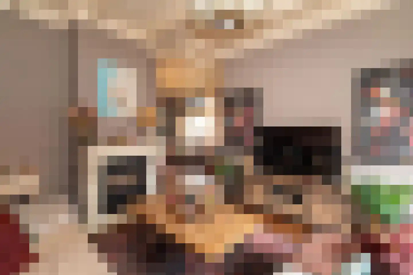 Elsenerstraat 56 Rijssen thumbnail 8