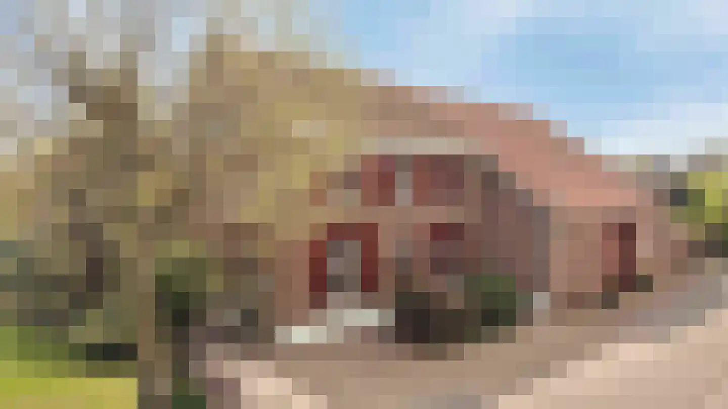Elsenewal 1 Nieuwstadt