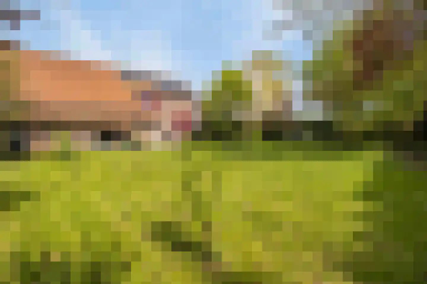 Elsenewal 1 Nieuwstadt thumbnail 10