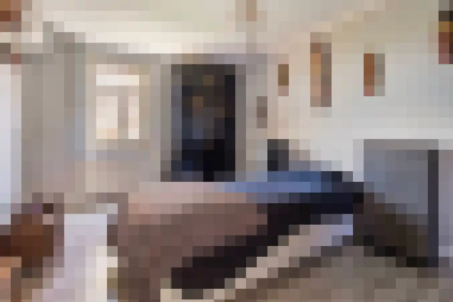 Elsenewal 1 Nieuwstadt thumbnail 14