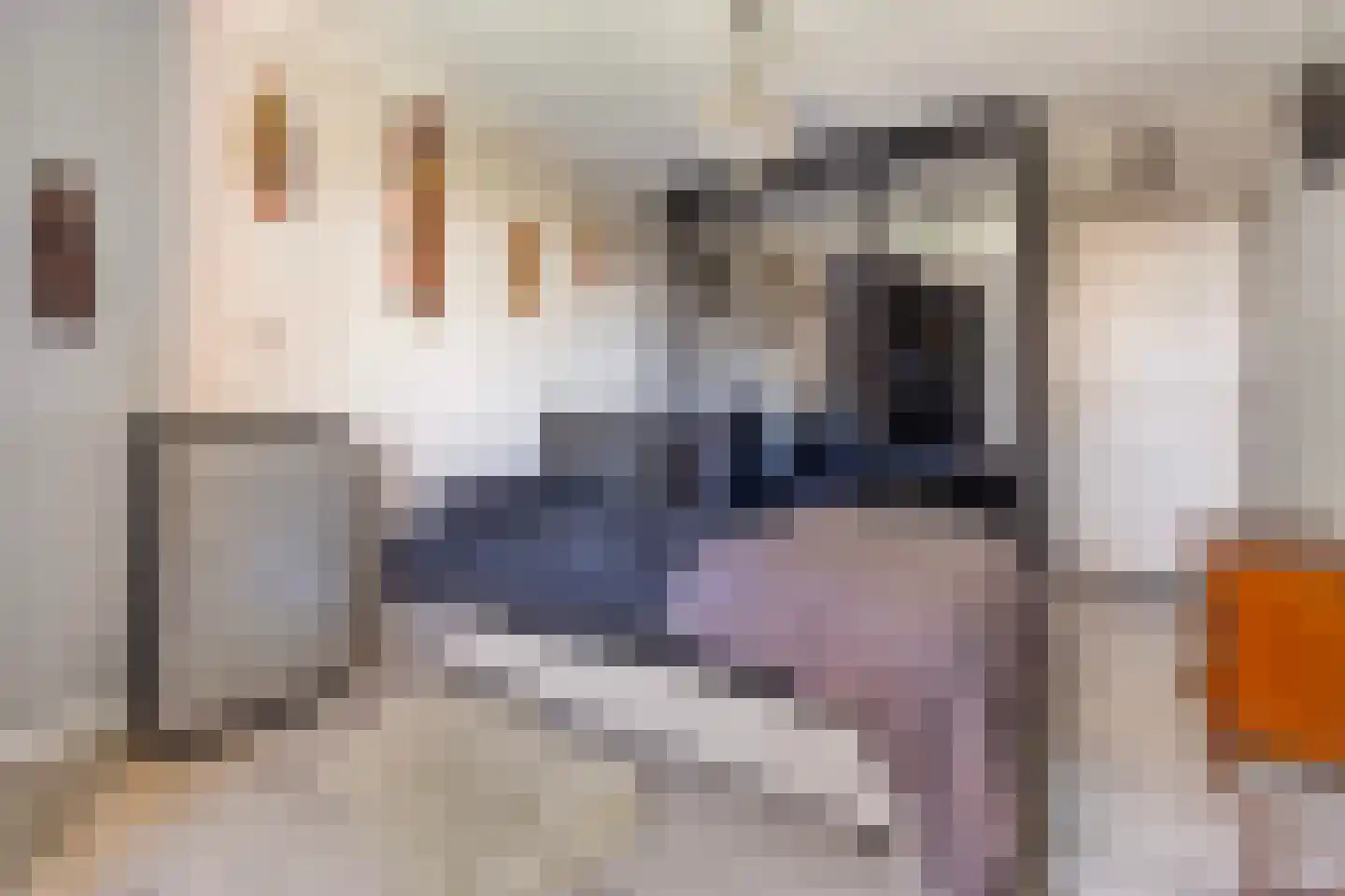 Elsenewal 1 Nieuwstadt thumbnail 15
