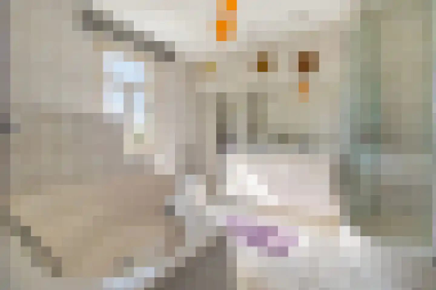 Elsenewal 1 Nieuwstadt thumbnail 16