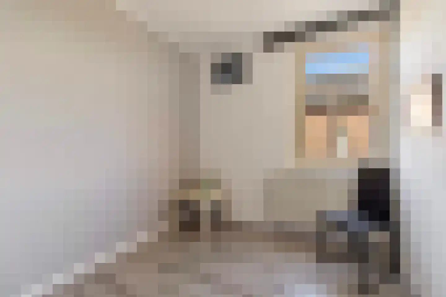 Elsenewal 1 Nieuwstadt thumbnail 21