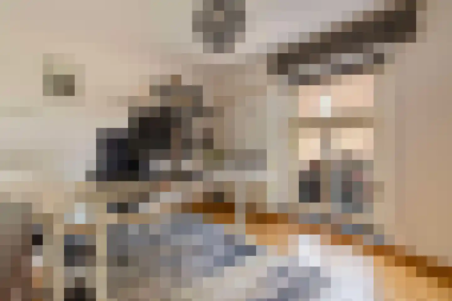 Elsenewal 1 Nieuwstadt thumbnail 25