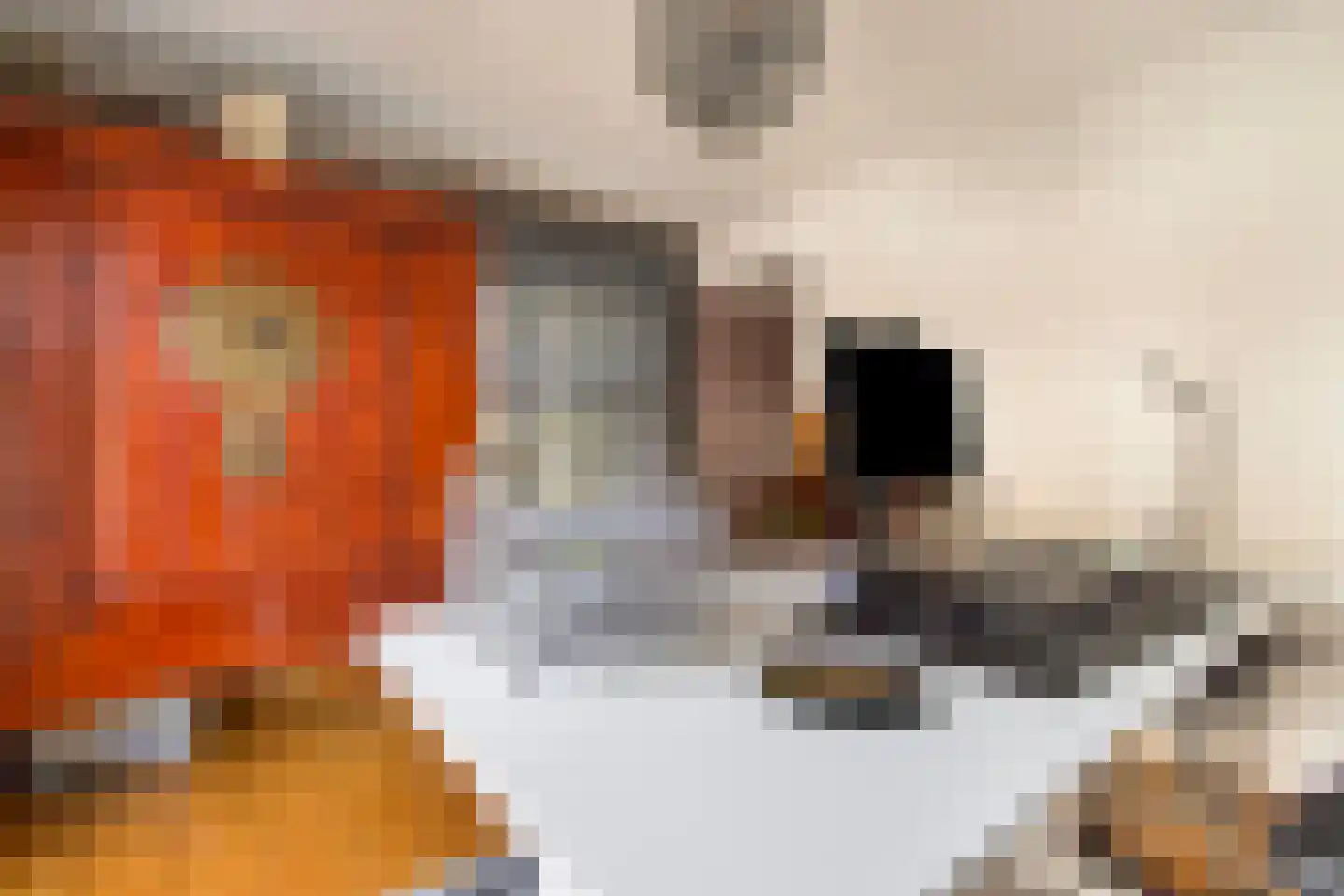 Elsenewal 1 Nieuwstadt thumbnail 26