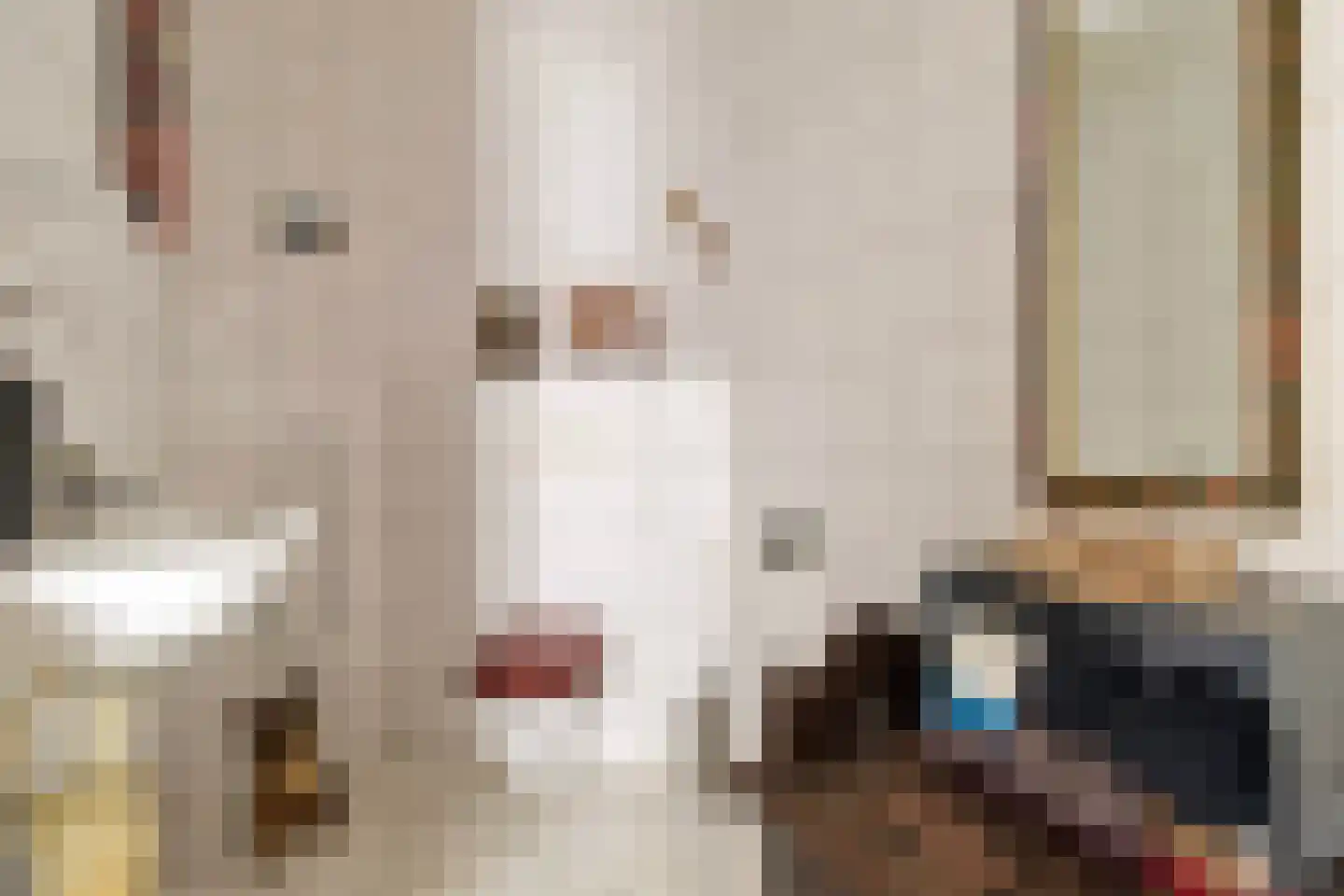 Elsenewal 1 Nieuwstadt thumbnail 27