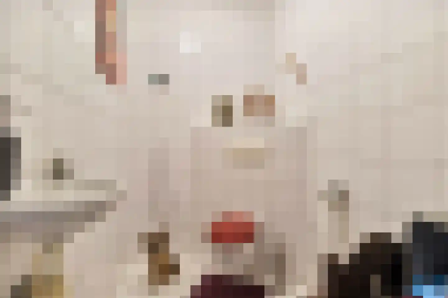 Elsenewal 1 Nieuwstadt thumbnail 28