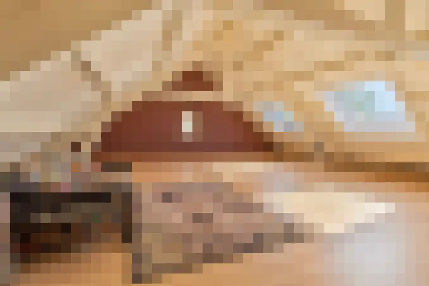 Elsenewal 1 Nieuwstadt thumbnail 30