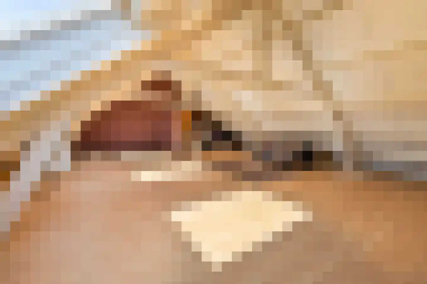 Elsenewal 1 Nieuwstadt thumbnail 31