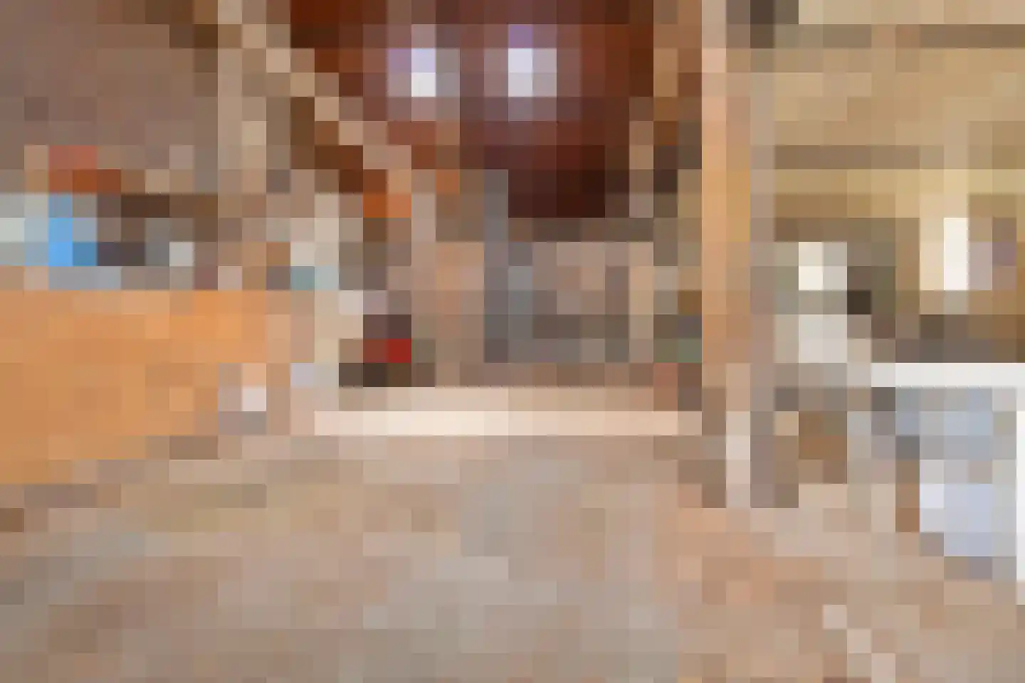 Elsenewal 1 Nieuwstadt thumbnail 33