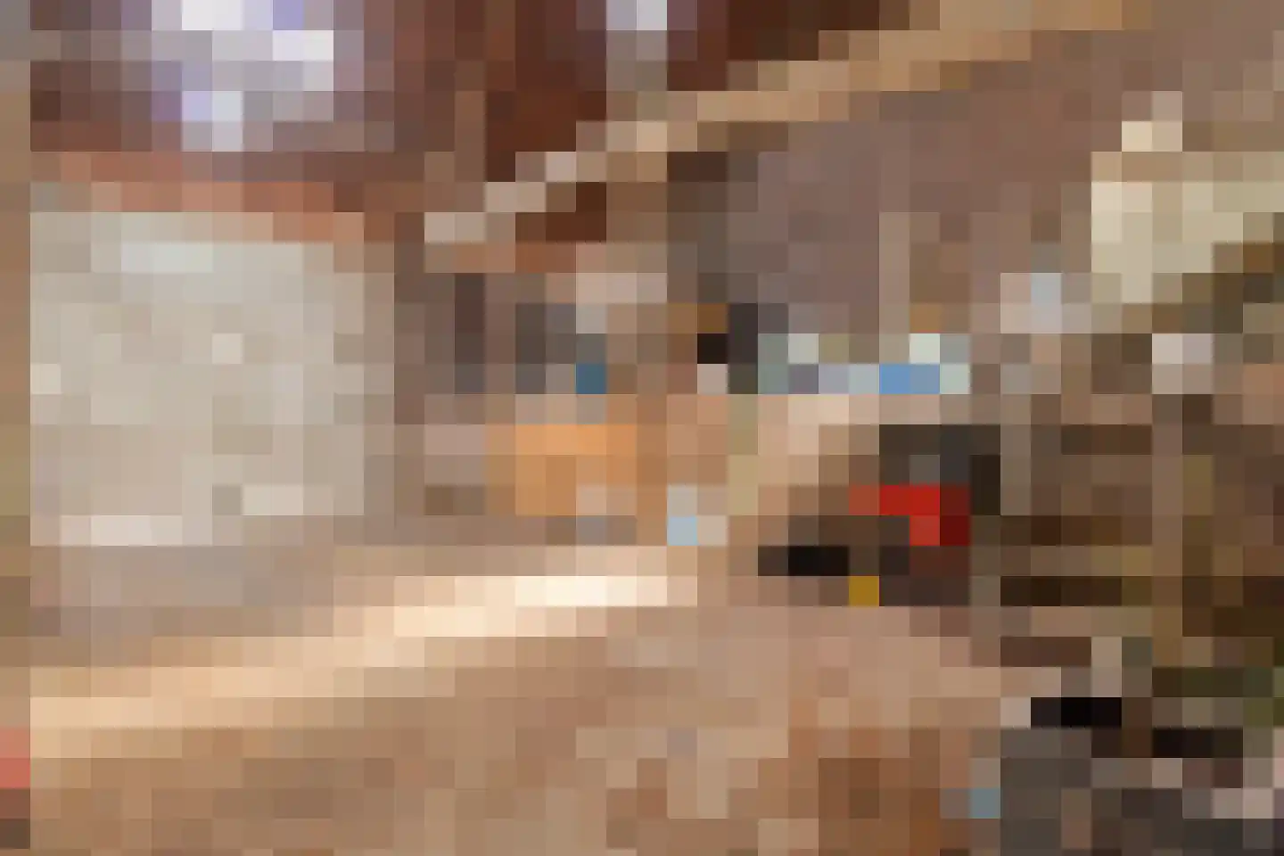 Elsenewal 1 Nieuwstadt thumbnail 34