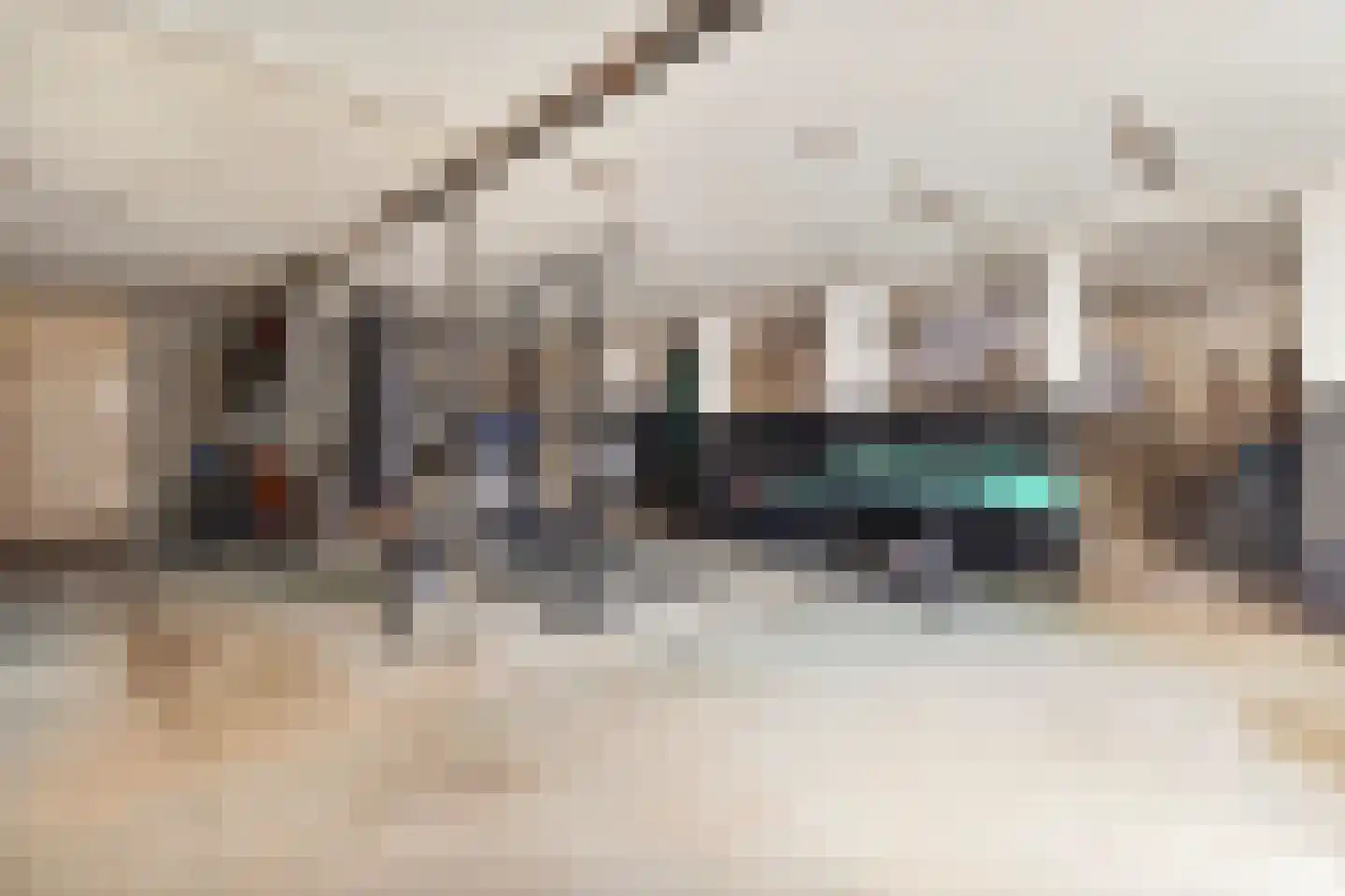 Elsenewal 1 Nieuwstadt thumbnail 34
