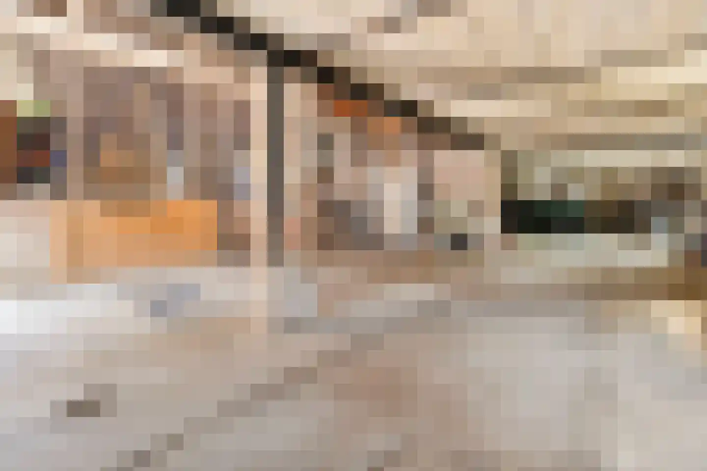 Elsenewal 1 Nieuwstadt thumbnail 36
