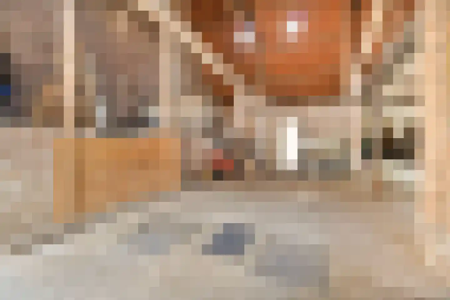 Elsenewal 1 Nieuwstadt thumbnail 37