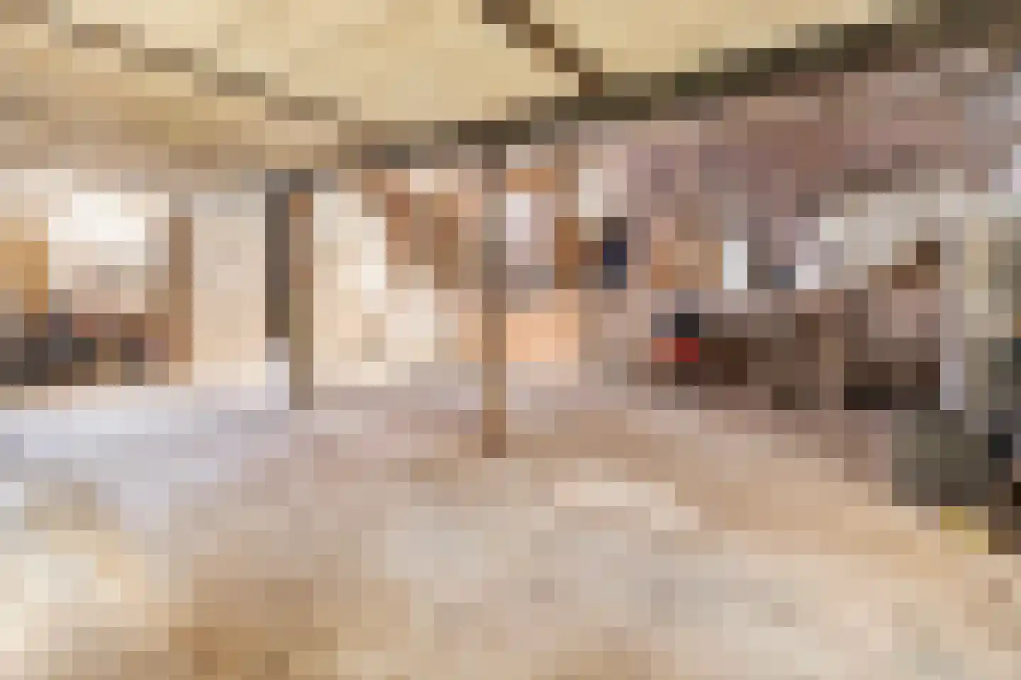 Elsenewal 1 Nieuwstadt thumbnail 38