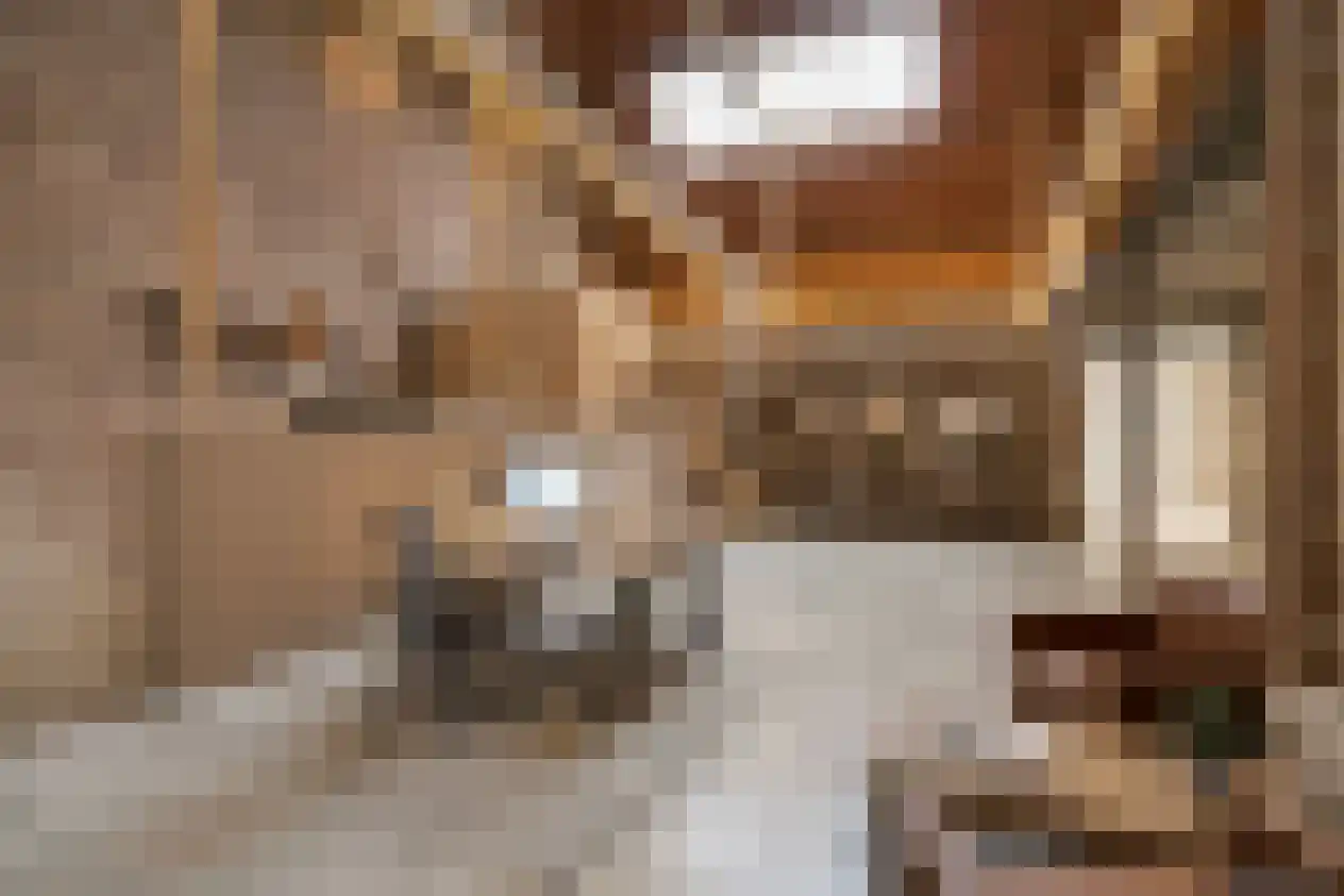 Elsenewal 1 Nieuwstadt thumbnail 39