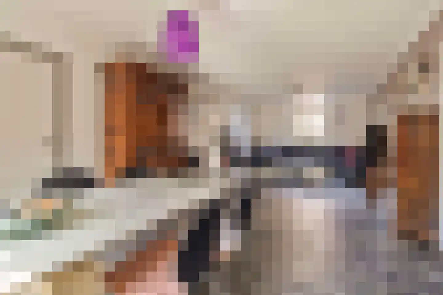 Elsenewal 1 Nieuwstadt thumbnail 4