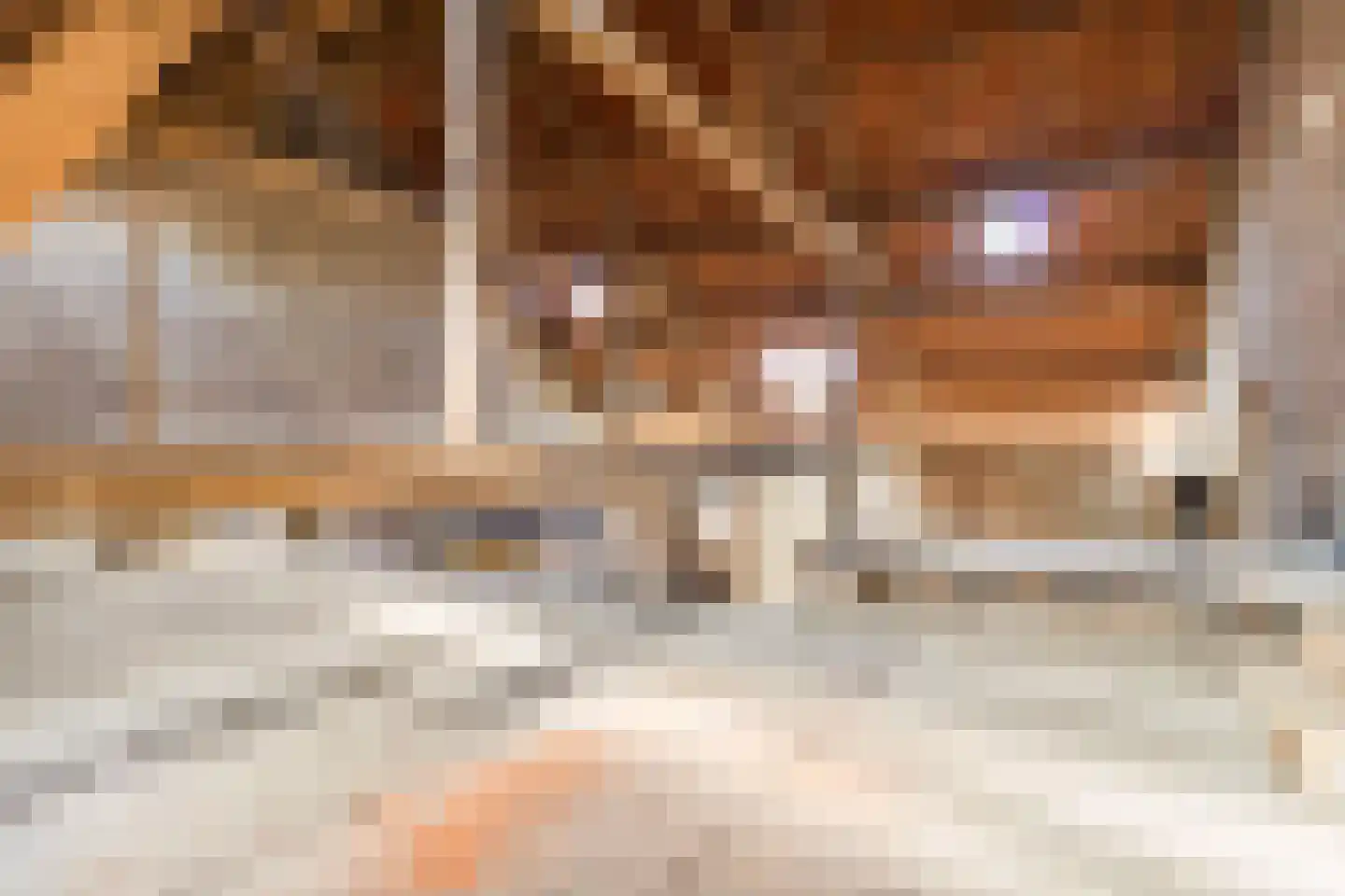 Elsenewal 1 Nieuwstadt thumbnail 40