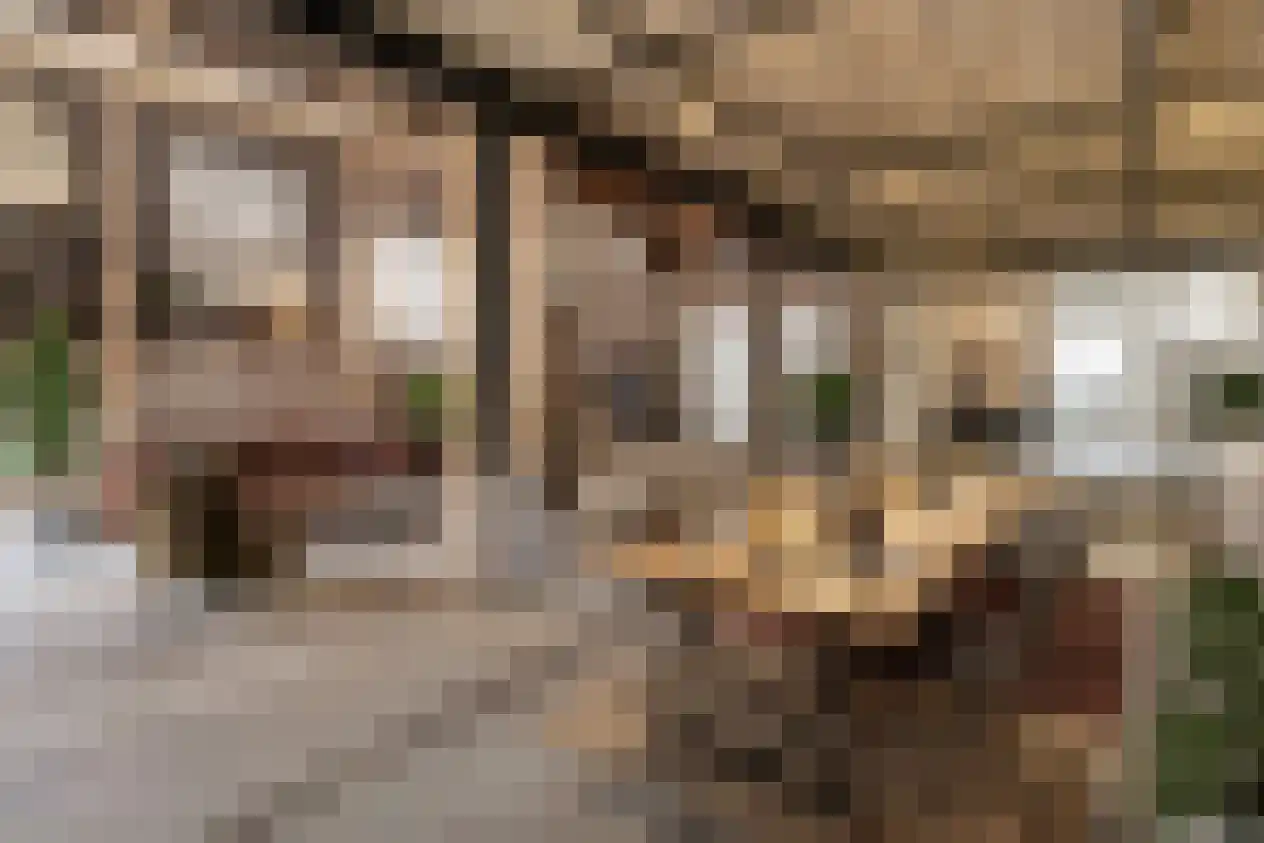 Elsenewal 1 Nieuwstadt thumbnail 42