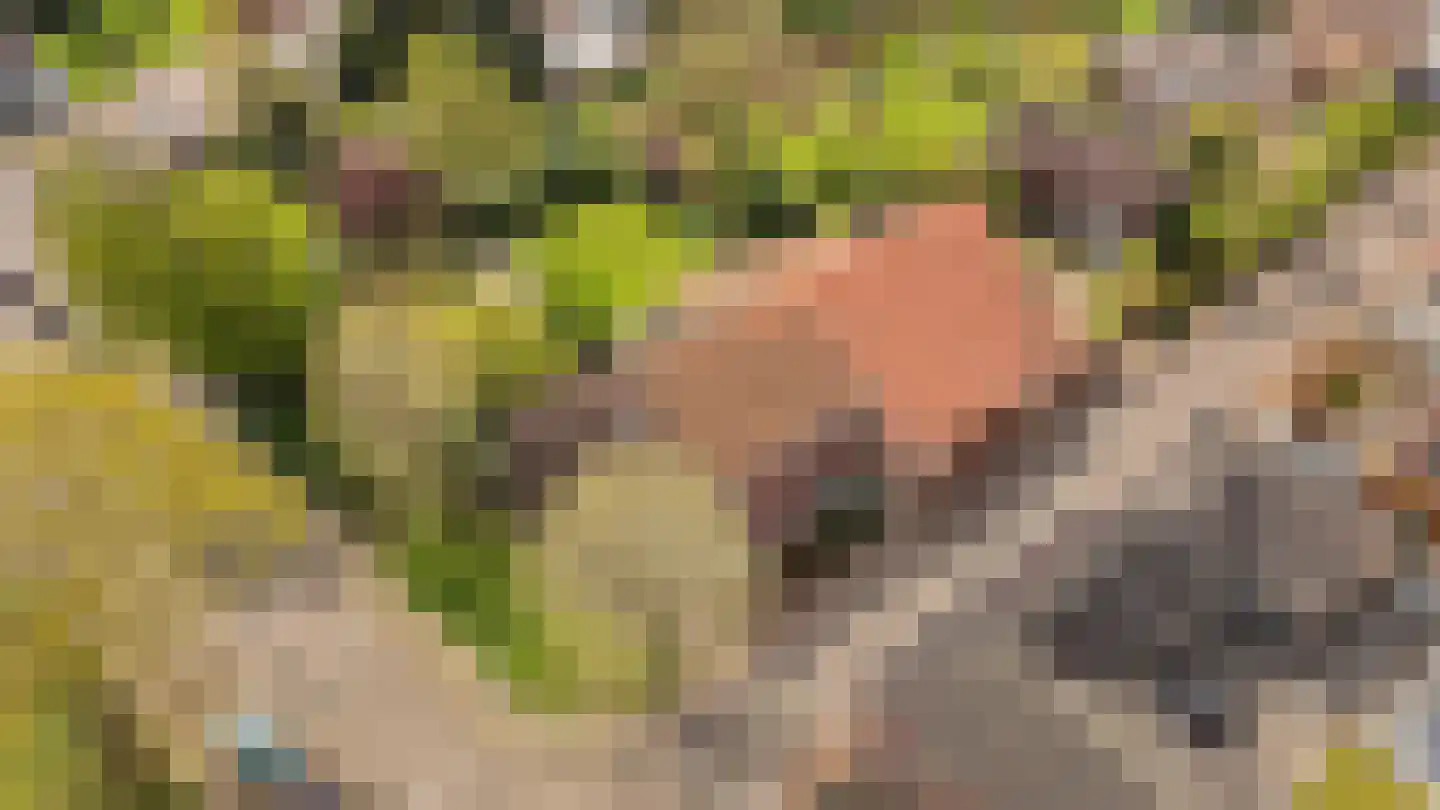 Elsenewal 1 Nieuwstadt thumbnail 42