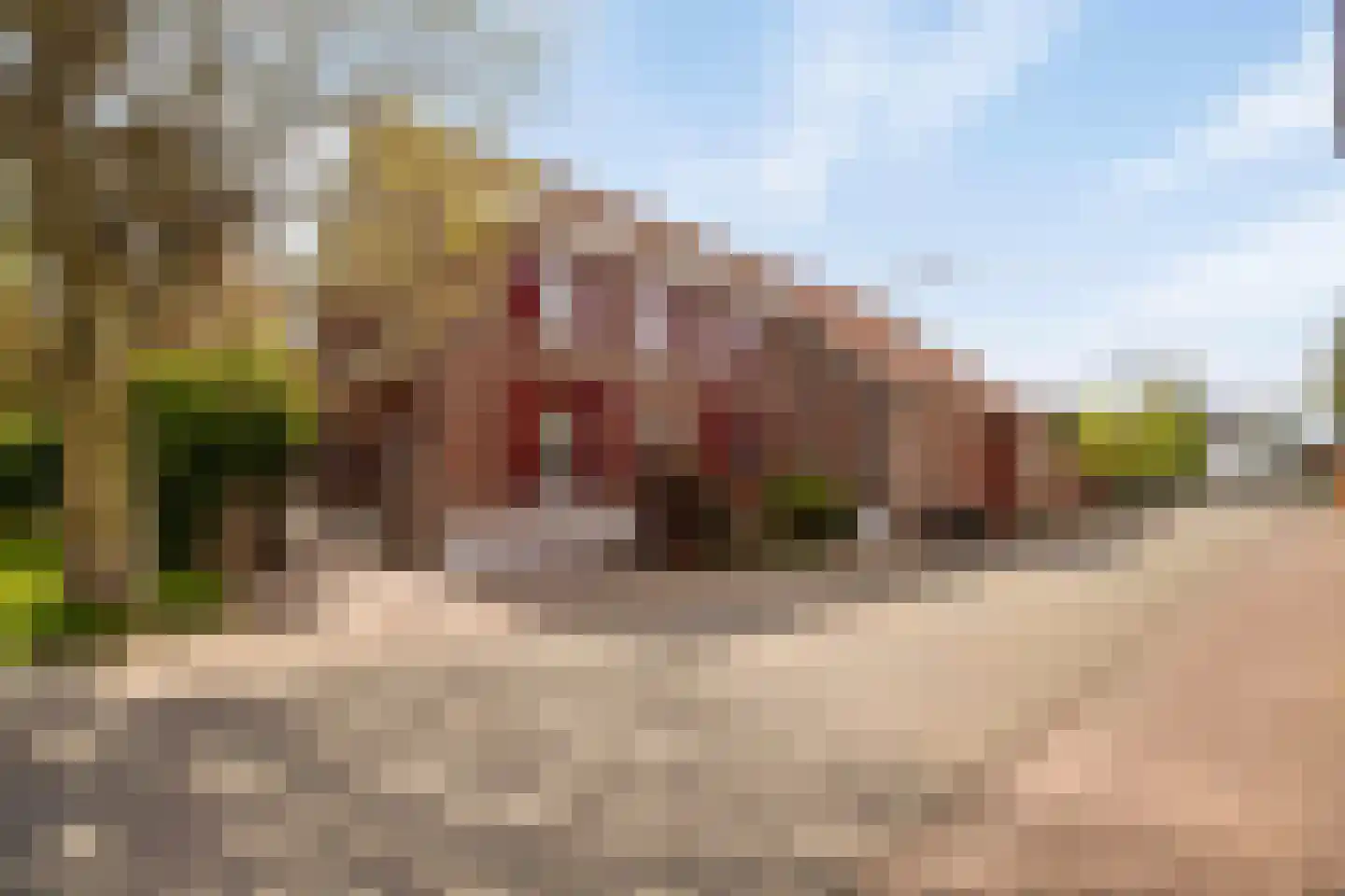 Elsenewal 1 Nieuwstadt thumbnail 43