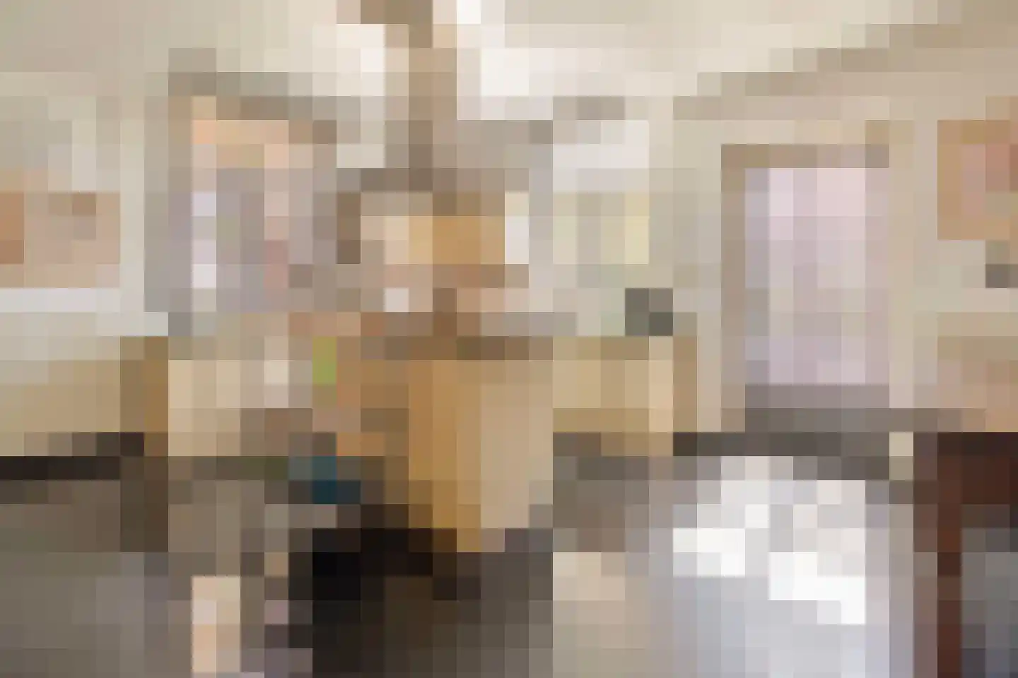 Elsenewal 1 Nieuwstadt thumbnail 6