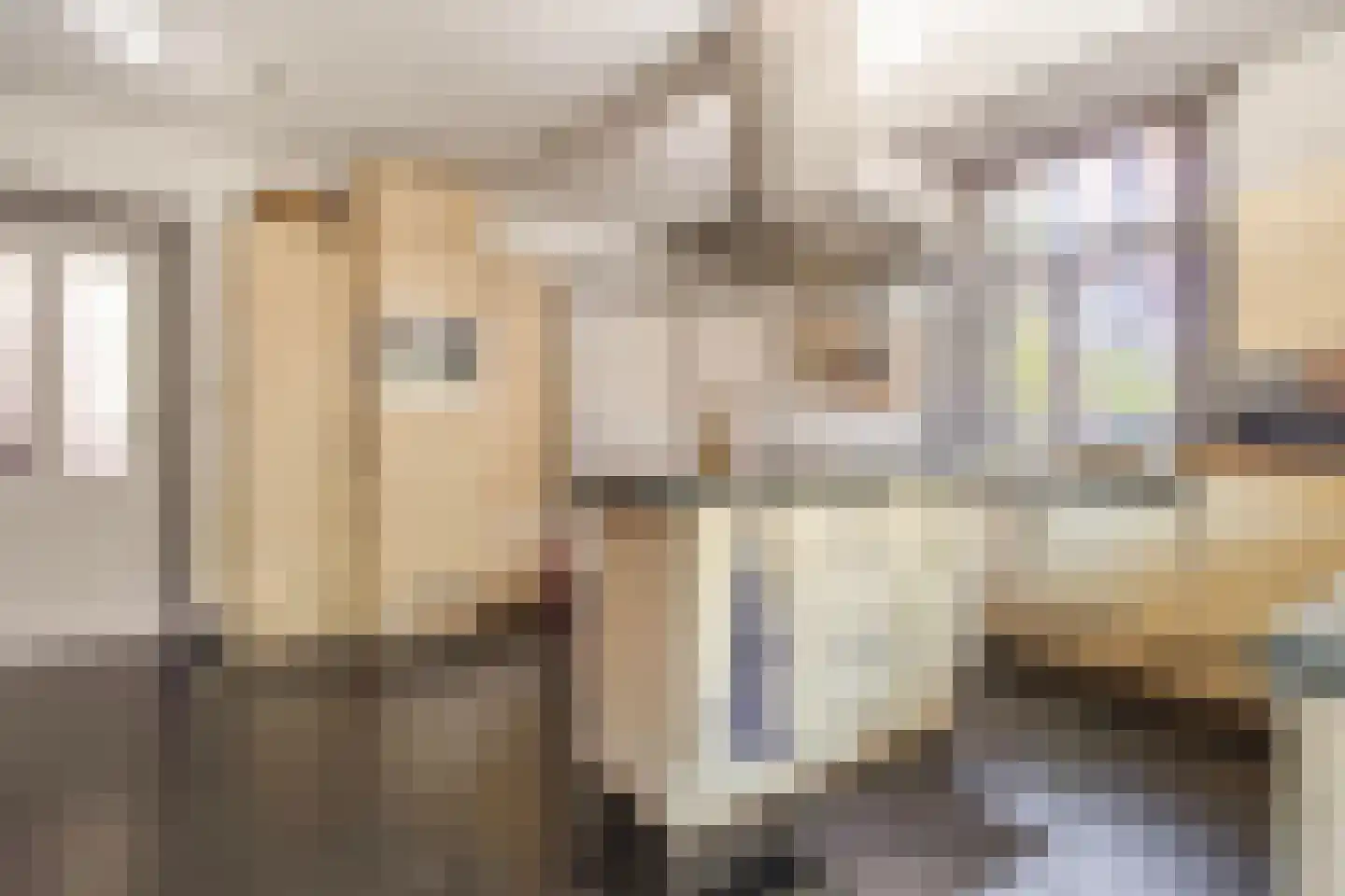 Elsenewal 1 Nieuwstadt thumbnail 7