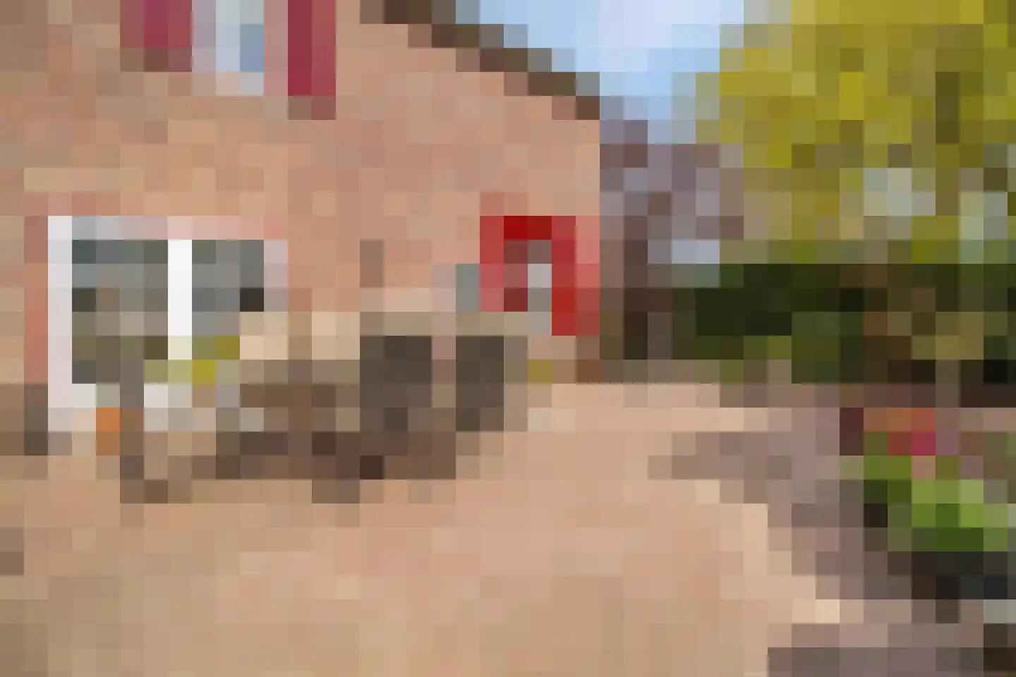 Elsenewal 1 Nieuwstadt thumbnail 8