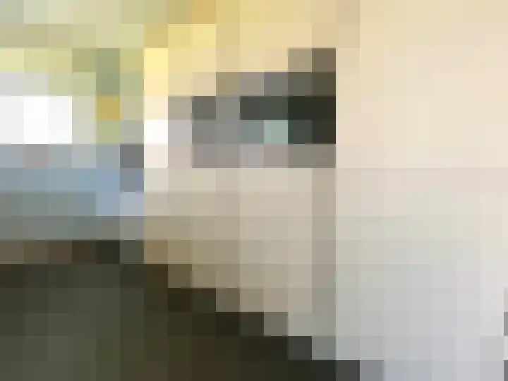 Elsenewal 10 Nieuwstadt thumbnail 11
