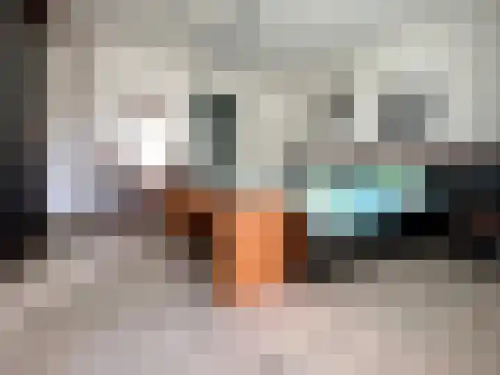 Elsenewal 10 Nieuwstadt thumbnail 13
