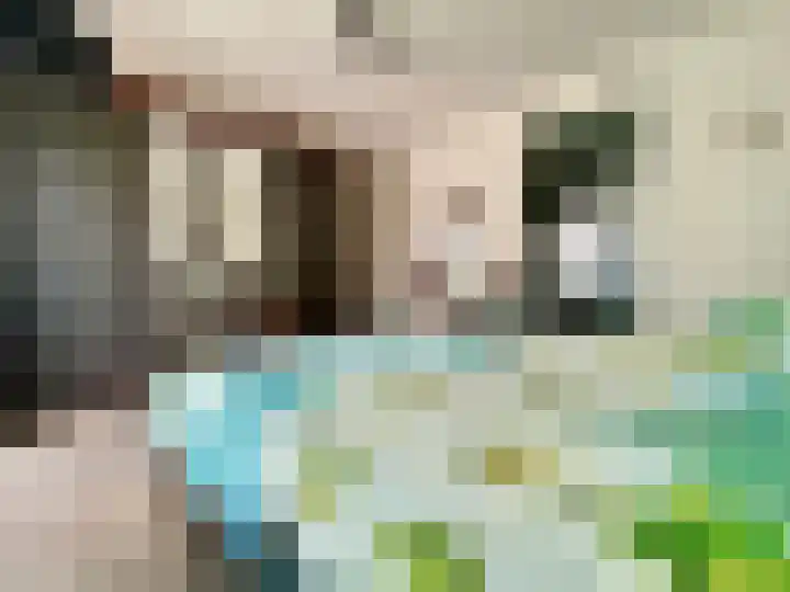 Elsenewal 10 Nieuwstadt thumbnail 14