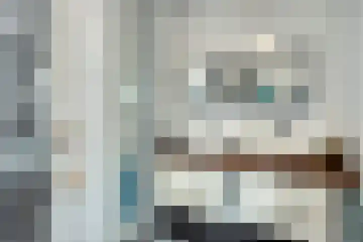 Elsenewal 10 Nieuwstadt thumbnail 15