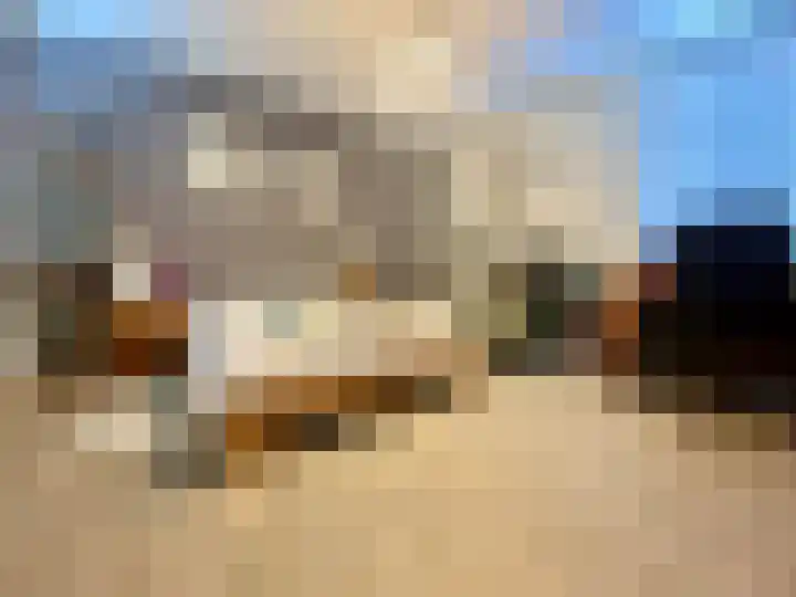 Elsenewal 10 Nieuwstadt thumbnail 19