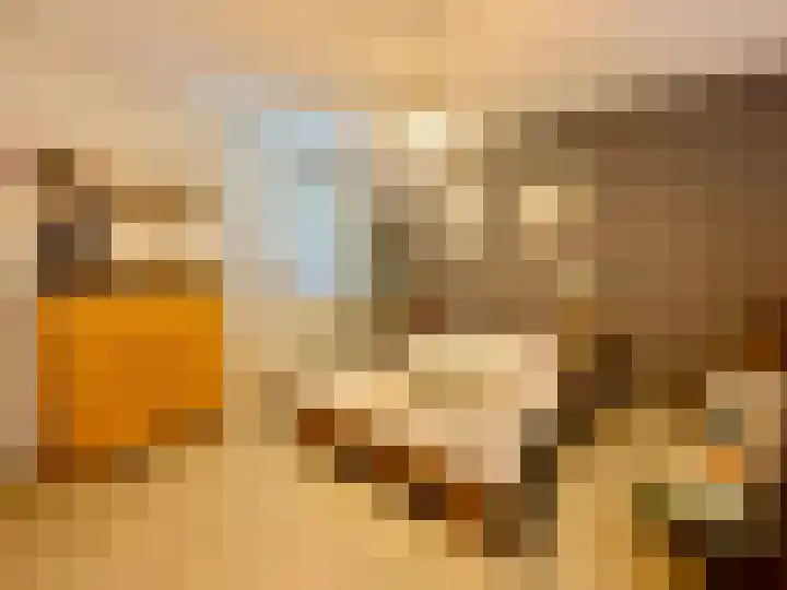 Elsenewal 10 Nieuwstadt thumbnail 20