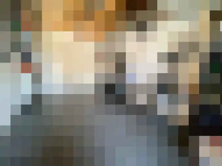 Elsenewal 10 Nieuwstadt thumbnail 28