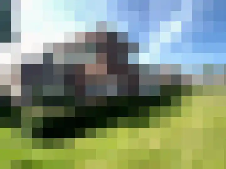Elsenewal 10 Nieuwstadt thumbnail 30
