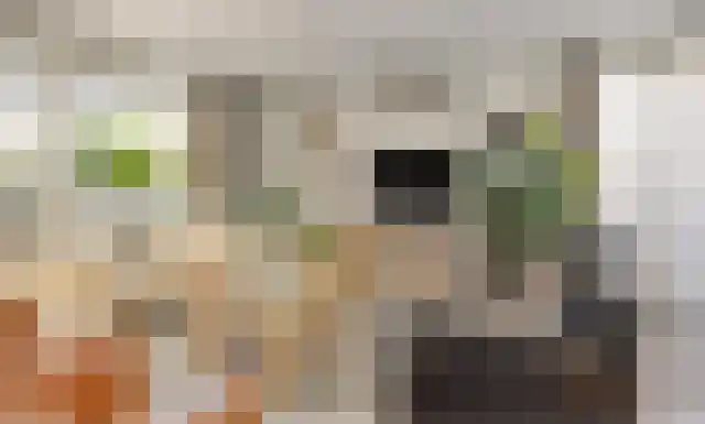 Elsenewal 10 Nieuwstadt thumbnail 4