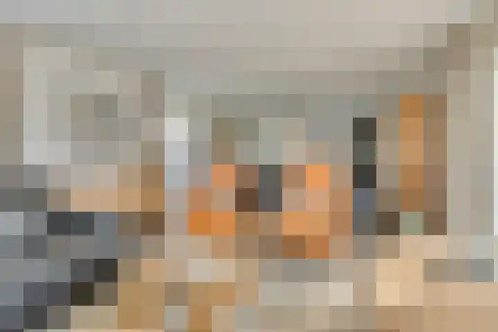 Elsenewal 10 Nieuwstadt thumbnail 6